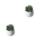 thumbnail image 4 of Billuyoard Simulación de plantas suculentas artificiales, bonsái, arreglo en maceta de flores falsas, paisaje, sala de estar, de fiesta en casa Type1 NO1, 4 of 6