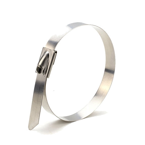 WRISTBIQUE 30Pcs Stainless Steel Cable Ties Heat Resistant Silver