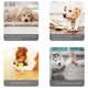 thumbnail image 5 of Juguetes Para Perros Sin Relleno Y Con Textura Arrugada Juguetes Chirriantes Para Perros Que Muerden Con Fuerza Juguetes Interactivos Para Perros Grandes, Medianos Y Pequeños Juguetes Sin Relleno, 5 of 6