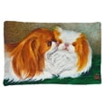 thumbnail image 1 of Carolines Treasures MH1045PILLOWCASE Japanese Chin Best Friends Fabric Standard Pillowcase, 1 of 2