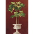 thumbnail image 2 of Welby 17x24 Black Modern Framed Museum Art Print Titled - Potted Palm in Red I, 2 of 4