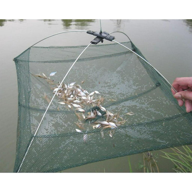Fishing Foldable Mesh Baits Umbrella Cast Net Cage , Green, as