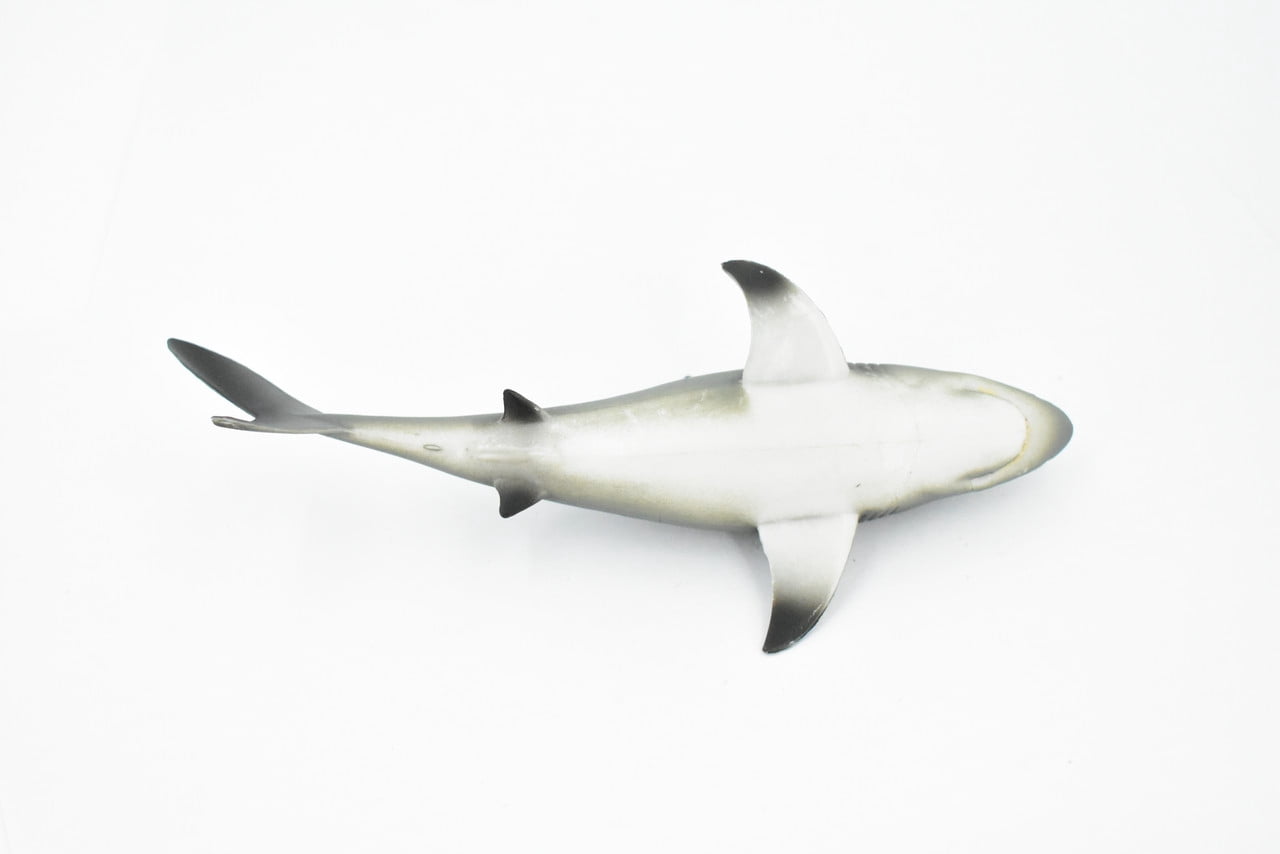 Shark, Black tip Reef Shark, Museum Quality, Rubber Liberia | Ubuy
