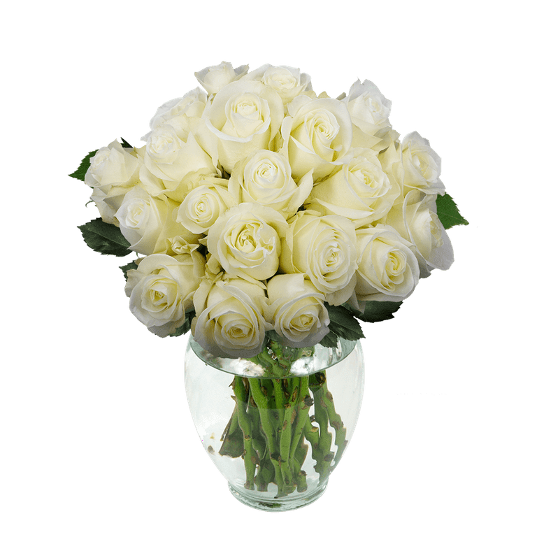 50 Stems of Green Roses- Fresh Flower Delivery 
