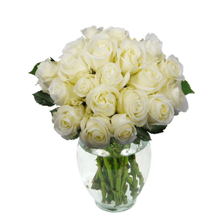 50 Stems of Green Roses- Fresh Flower Delivery 