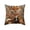 B, variant on Throw Pillows for Couch, Cute Quadruped Patterns Cushion Cover Soft Throw Pillowcase Removable And Washable Pillowcase For Sofa And Chair Ideal Choice For Summer Sofa And Bedroom Decor