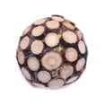 thumbnail image 1 of Juguetes para gatos, palitos para moler, juguetes para morder, suministros para gatos, 1 of 6