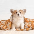 thumbnail image 4 of Disketp Beautiful Fox A Dog Blanket/Bed Cover for Dogs and Cats,Puppy Essentials-Small, 4 of 8