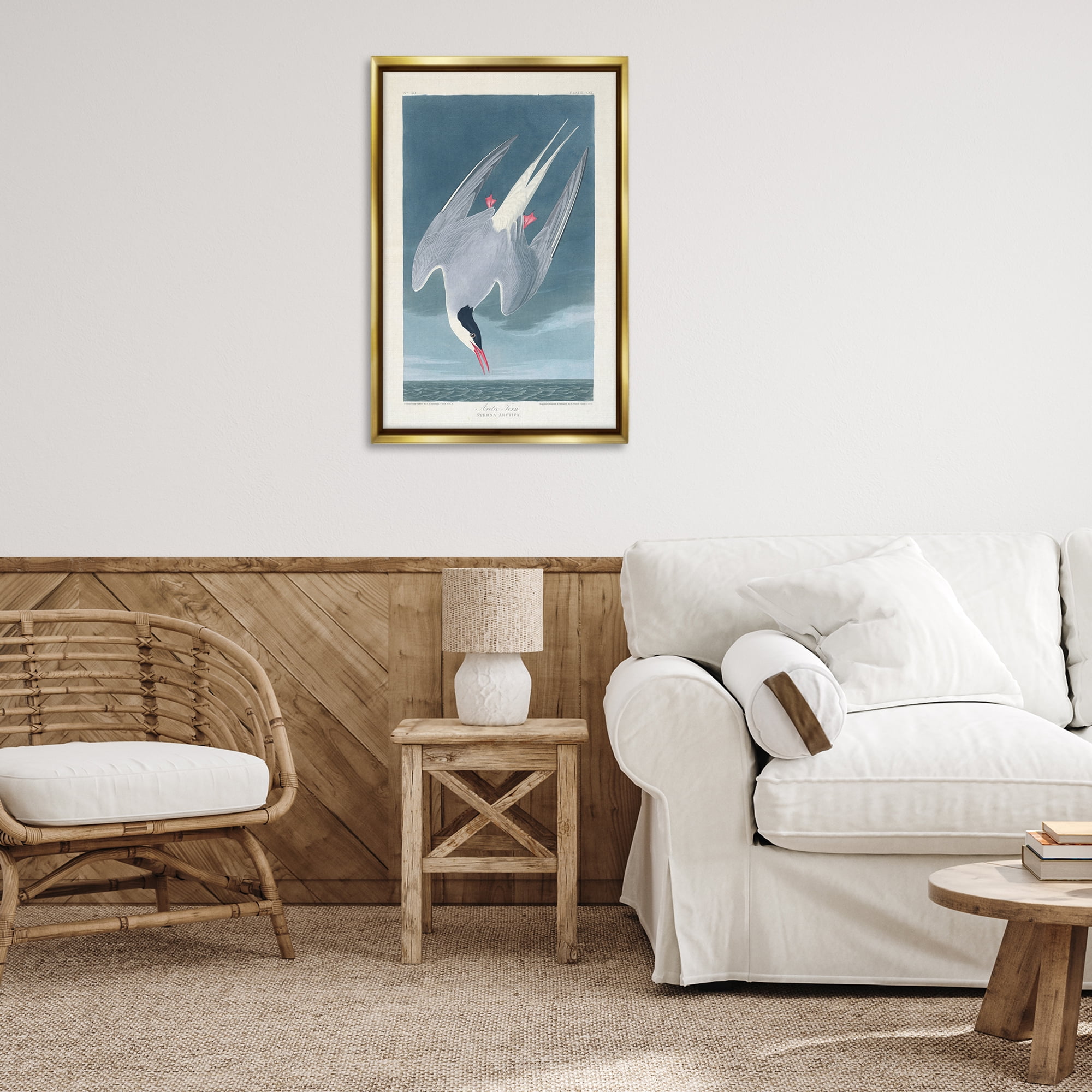 Stupell Industries Classic Arctic Tern Bird Animals Painting Gold Floater Framed Canvas Art Print Wall Art, 21 x 31