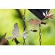 thumbnail image 5 of Happy Gardens Carillones de viento para pájaros con campanas – 5 campanas suspendidas con decoración de jardín de pájaros – Regalos al aire libre para el día de la madre y decoraciones de pa, 5 of 5