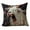 Black, variant on Cute Embroidery Decorative Throw Pillow Cover, Soft Short Lint Cushion Case for Sofa, Bedroom, Living Room Home Decoration, Multi-Scenario Applicability