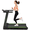 Green, variant on SSPHPPLIE 3HP Folding Treadmill for Home, APP Control , 300LB Walking Pad Running Data Analysis(Orange)