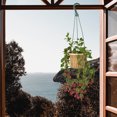 thumbnail image 4 of unbranded 5Ud Plant Pot Hanger Green Plastic Practical and Sturdy for Indoor and Outdoor Use, 4 of 6