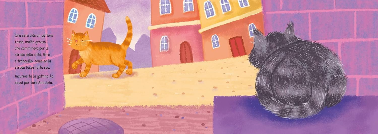 Fiammetta Manola,Emy Viola Seguendo un gatto di nome Romeo (Hardcover)
