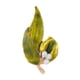 thumbnail image 5 of Broche de hojas, broche de solapa para mujer, decoración de boda de aniversario, hoja Verde, 5 of 9