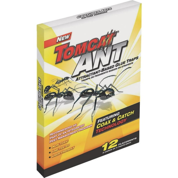 Tomcat Glue Ant Bait Trap