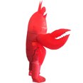 thumbnail image 3 of Assorted Ocean & Spider Inflatable Costumes For Adults - Marine & Horror Theme Party Outfits (Fits 59"–74.8" / 150-190cm),Height 59"–74.8",lobster, 3 of 6