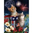 thumbnail image 1 of Diamond (DE5335) Cat Zoo Art Drawing DIY Mosaic Crystal Full Round Paint Kit (HY098) 30x40cm Hugtrwg Para estrenar, 1 of 1