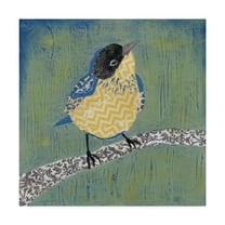 Trademark Fine Art 'Patchwork Wren II' Canvas Art by Grace Popp
