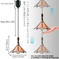 thumbnail image 4 of FSLiving Adjustable Height Rechargeable Battery Operated Pendant Light, Remote Control Wooden Handle Copper Socket Chandeliers Tiffany Glass Pink Cover 4Ft Dimmable RGB Decorate for Shopwindow, 4 of 8