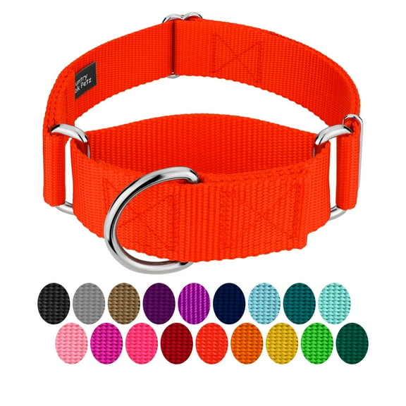 Country Brook Petz® 1 1/2 inch Hot Orange Martingale Heavyduty Nylon Dog Collar, Extra Large