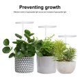 thumbnail image 4 of Justharion USB Line Control LED Grow Light Indoor Dimmable Timer Plant Growing Lamp Seedling Lighting Accessories Home Supplies 1 Head Sunlight 1Set, 4 of 6