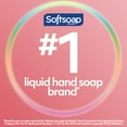 Softsoap Milk & Honey Scent Liquid Hand Soap, Moisturizing Liquid Hand