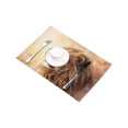 thumbnail image 3 of MKHERT Abstract Animal, Beautiful Lion Head Oil Painting Placemats Table Mats for Dining Room Kitchen Table Decoration 12x18 inch,Set of 4, 3 of 4