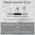 thumbnail image 4 of 55oz Blonde Woods | Rose | Black Fig Candle (Inspired by The EDITION Hotel&reg;), 4 of 10