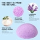 thumbnail image 1 of Mini Esponja Cosmética Limpiador Facial Reutilizable Herramientas de Belleza Flutter (Púrpura) Sywqhk Cuidado Belleza, 1 of 2