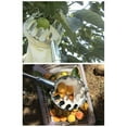 thumbnail image 4 of Cateissary Recolector de frutas Huerto Jardinería ajustable Árbol alto Colector de melocotón Jardín Colección al aire libre Suministro de Cocina y Comedor, 4 of 6