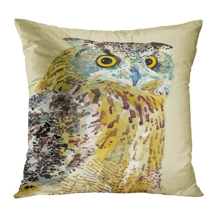 Ink Drawing Sets - ECCOT Watercolor Painting of Bird Owl I Am Author This Ink Drawing Sketch Farm Wildlife PillowCase Pillow Cover 16x16 inch