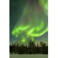 thumbnail image 2 of Illg, Cathy and Gordon 23x32 Black Ornate Wood Framed with Double Matting Museum Art Print Titled - USA, Alaska Aurora borealis over forest, 2 of 4