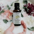thumbnail image 2 of Difeel 100% Pure Essential Oil - Tea Tree Oil 1 oz., 2 of 5