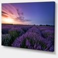 thumbnail image 2 of Beautiful Lavender Flowers At Sunset - Floral Canvas Art Print, 2 of 3