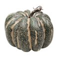 thumbnail image 4 of RKSTN Pumpkin Decorative 5PC Simulation Model Halloween Ornaments Decorative Props Vegetable Cabinet Display Photography Early Education Props, 4 of 8