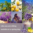 thumbnail image 2 of Lavender Lemon Scented Candles, Gifts for Women Men, Large Jar Candle for Home Scented, Aromatherapy Candle, Natural Soy Wax Scented Candle for Relaxing & Calming (Spring Scent), 2 of 7
