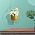 thumbnail image 5 of SMKE Metal Hanging Flower Pot,Metal Ceiling Hanging Flower Pot,Geometric Succulent Hanging Basket,Hole-Free Hydroponic Plant Pot,Modern Wall/Ceiling Decor Pot,Multi-Scene Decorative Planter, 5 of 7