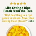 thumbnail image 3 of Del Monte No Sugar Added Diced Peaches Fruit Cup Snacks 3.75 oz Cup (Pack of 12) - 4 pack, 3 of 6