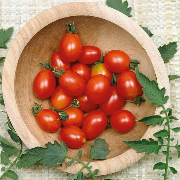 Eden Brothers Tomato Seeds - Principe Borghese Non-GMO Seeds for Planting, Packet | Low-Maintenance Vegetable Seeds, Plant During Warm Season, Zones 10, 3, 4, 5, 6, 7, 8, 9