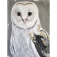 thumbnail image 2 of Redman, Suzi 25x32 Gold Ornate Wood Framed with Double Matting Museum Art Print Titled - Barn Owl, 2 of 4