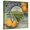Canvas, variant on Art.com Desert Brand - Phoenix, Arizona - Citrus Crate Label Art Print by Lantern Press, White Frame Wall Art, 21" x 21"