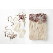 Pana Pesca Traditionally Cleaned Squid Tubes and Tentacles - 3/5 inch Tubes, 2.5 Pound - 4 per case.
