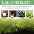 thumbnail image 4 of 38ml Moonspry Concentrated Plant Nutrient Solution Of Elements Concentrated Nutrient Solution Of Root And Strong Seedling Of Green Plant And Flower, 4 of 6