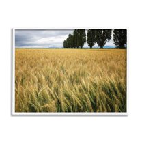 Stupell Industries Wheat Field Harvest Windy Field Country Landscape, 24 x 30, Designed by Nancy Crowell