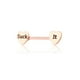 thumbnail image 5 of Jumpingount Anillo para pezones con barra, accesorio de moda, accesorios de joyería, decoración corporal atractiva para mujeres, Suck-It de oro Oro rosa chúpalo 5piezas, 5 of 6