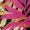 Hawaii Palm Leaves, variant on Psesaysky Girls Tankini Swimsuit 2 Piece Removable Pads Bathing Suit for Girl Trendy Tankinis Set Sunflower Leopard Print Tank Top with Bottoms 6-15Y
