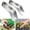 7in, variant on Stainless Steel Seedling Transplanter Tongs,　Garden Transplant Tool for Nursery Seedlings, Root Protection and Home Gardening 2-Pack