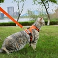 thumbnail image 2 of Cat Harness and Leash Escape Proof Extra Large Kitten Harness Maine Coon Cat Vest for Walking Travel, Dark Green, XL, 2 of 9
