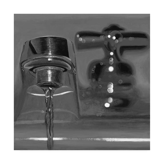 Trademark Fine Art 'Black & White Faucet' Canvas Art by Roderick Stevens